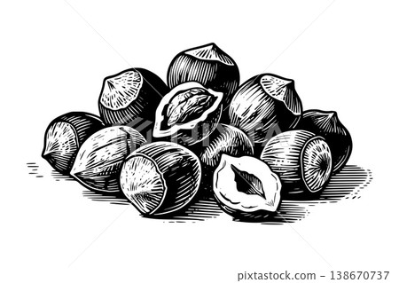 A pile of hazelnuts shown in hand-drawn engraving style on a white background, illustrating a concept of natural food 138670737