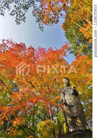 Kannon Bodhisattva at Tennoin Temple, Nomiyama Kannonji Temple, Sasaguri Kannon Bodhisattva at Tennoin Temple, Nomiyama Kannonji Temple, Sasaguri 138670953