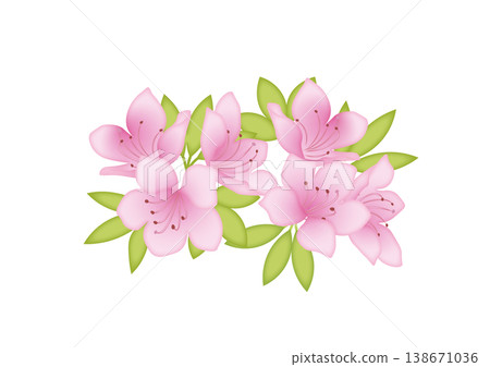 可愛的杜鵑花插畫素材 138671036