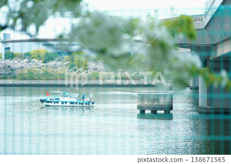 觀光船穿梭於櫻花樹間 觀光船穿梭於櫻花樹間 138671565