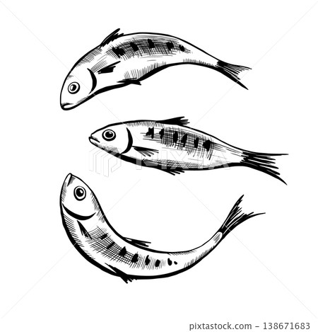Sardine fish set in minimalist black and white vector line art. Three dynamic swimming fishes for eco-friendly apparel print, marine branding, organic seafood packaging and modern poster graphics Sardine fish set in minimalist black and white vector line art. Three dynamic swimming fishes for eco-friendly apparel print, marine branding, organic seafood packaging and modern poster graphics 138671683