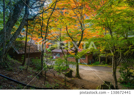 愛知縣新城市鳴澤瀑布週邊的紅葉景觀 138672441