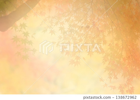 Gentle autumn leaves Gentle autumn leaves 138672962