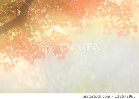 溫柔的秋葉 138672963