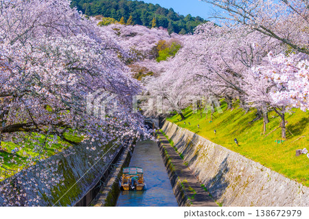 琵琶湖運河大津地區的櫻花 琵琶湖運河大津地區的櫻花 138672979
