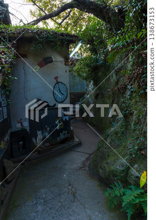 Winter in the Seto Inland Sea: Cat's Alley in Onomichi City, Hiroshima Prefecture 138673153