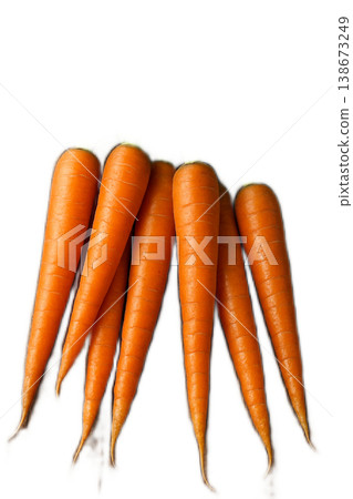 胡蘿蔔胡蘿蔔胡蘿蔔 138673249