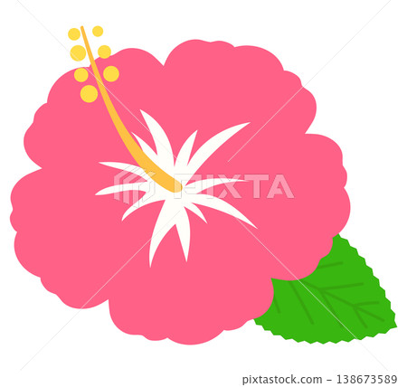 可愛的芙蓉 138673589