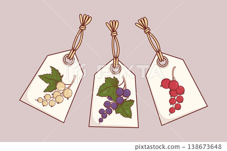 Handmade Paper Gift Tags Set with Red Black and White Currant Berries. Isolated Vector Illustration 138673648