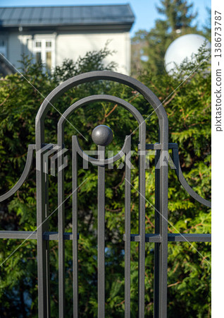 A close view of a metal gate showing details in front of green plants and buildings. 138673787