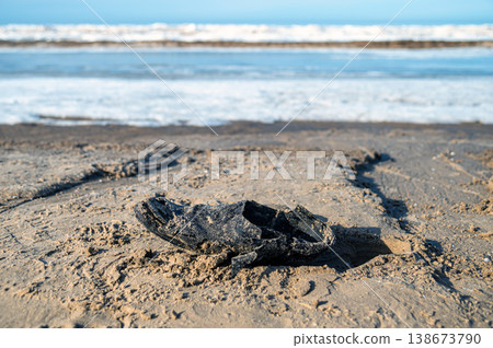 An old shoe rests on the sand next to the water as waves crash nearby in daylight. 138673790