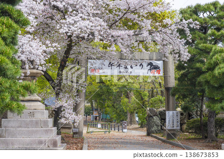 Kyoto, Fujimori Shrine: Cherry blossoms in full bloom and the South Gate Kyoto, Fujimori Shrine: Cherry blossoms in full bloom and the South Gate 138673853
