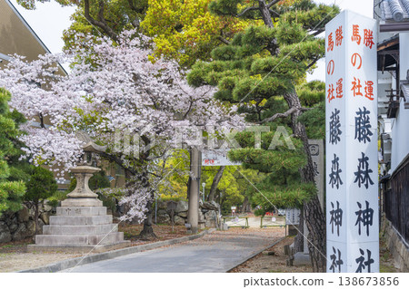 Kyoto, Fujimori Shrine: Cherry blossoms in full bloom and the South Gate Kyoto, Fujimori Shrine: Cherry blossoms in full bloom and the South Gate 138673856