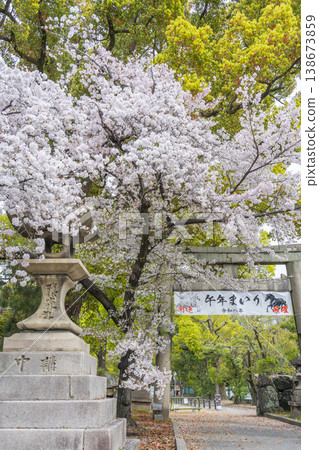 京都藤森神社：櫻花盛開，南門 138673859