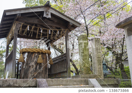 京都,藤森神社,畑塚山丘和紫杉樹,櫻花盛開。 京都,藤森神社,畑塚山丘和紫杉樹,櫻花盛開。 138673866