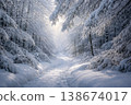 靜謐的冬日景色：樹木覆蓋霜花，陽光透過白雪皚皚的冬日森林小徑灑下斑駁的光影。 138674017