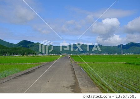 A road that runs straight through the rice fields. 138675595