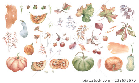 Watercolor collection of pumpkins, autumn leaves, apples, mushroom and acorn isolated. Seasonal botanical set hand drawn for fall holiday greeting card design, decorative invitation and harvest theme. 138675679