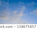 Summer blue sky and birds 138675857