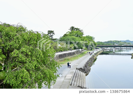 河岸邊樹木茂盛。 河岸邊樹木茂盛。 138675864