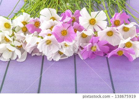 Bunch of pink and white cosmos flowers on a wooden background; copy space 138675919