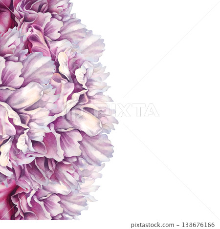 Decorative watercolor peony border with curved convex shapes, featuring layered petals and soft gradients. Hand-painted pink botanical template for elegant layouts, invitations, and decorations 138676166