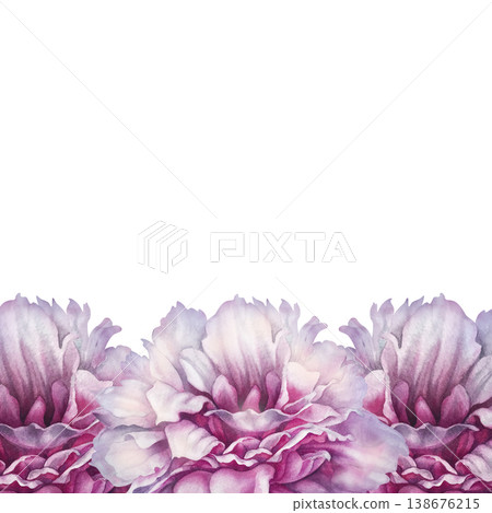 Pink peony horizontal border with layered petals and soft gradients. Watercolor hand drawn floral arrangement ideal for top or bottom decoration in invitations, stationery, packaging, botanical design Pink peony horizontal border with layered petals and soft gradients. Watercolor hand drawn floral arrangement ideal for top or bottom decoration in invitations, stationery, packaging, botanical design 138676215