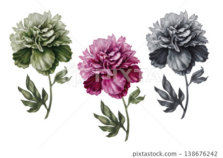Monochrome watercolor peony illustration with soft tonal gradients and refined botanical detail. Elegant handpainted floral design in a single color palette, perfect for minimalist branding, packaging Monochrome watercolor peony illustration with soft tonal gradients and refined botanical detail. Elegant handpainted floral design in a single color palette, perfect for minimalist branding, packaging 138676242