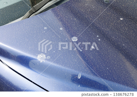 Bird droppings on the car body Bird droppings on the car body 138676278