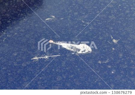Bird droppings on the car body Bird droppings on the car body 138676279