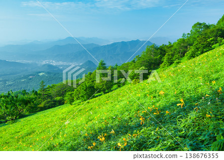 Nikko Daylilies blooming on Kirifuri Plateau in Nikko City, Tochigi Prefecture Nikko Daylilies blooming on Kirifuri Plateau in Nikko City, Tochigi Prefecture 138676355