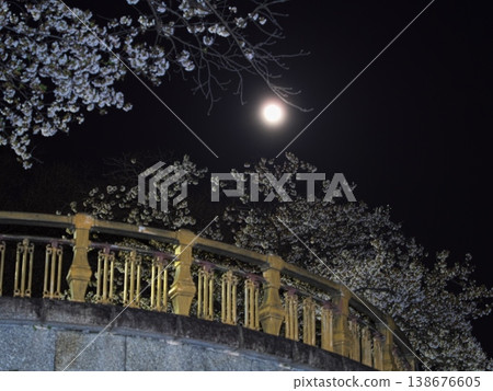 Viewing the pink moon from the Yamazaki River amidst the cherry blossoms in full bloom at night. Viewing the pink moon from the Yamazaki River amidst the cherry blossoms in full bloom at night. 138676605