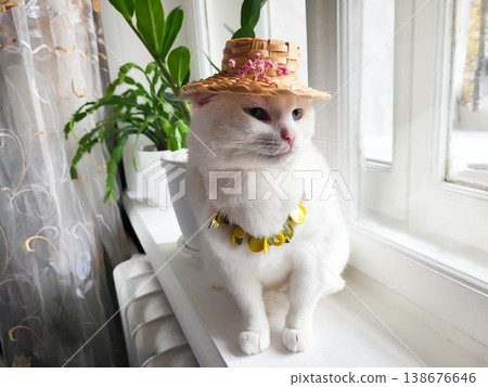 A cute white cat wearing a straw hat and beads is sitting on a windowsill next to some flowers. A cute white cat wearing a straw hat and beads is sitting on a windowsill next to some flowers. 138676646