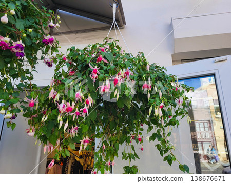 A planter with fuchsia flowers hangs above the entrance. A planter with fuchsia flowers hangs above the entrance. 138676671