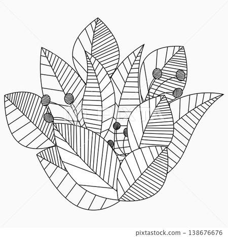 Black and white leaves with seeds. Doodle-style vector illustration Black and white leaves with seeds. Doodle-style vector illustration 138676676