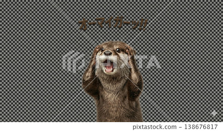 我的天啊！ ！ 138676817