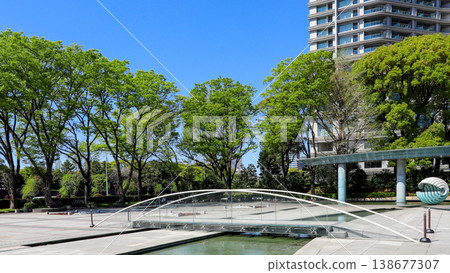 和田倉門噴泉公園的新綠 和田倉門噴泉公園的新綠 138677307