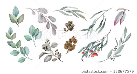 Eucalyptus branch watercolor set, elegant botanical elements isolated on white. Hand drawn natural foliage collection, detailed leaves perfect for wellness design, wedding decor, packaging, branding Eucalyptus branch watercolor set, elegant botanical elements isolated on white. Hand drawn natural foliage collection, detailed leaves perfect for wellness design, wedding decor, packaging, branding 138677579