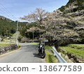 Ogawa Town, Sakura 138677589