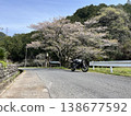 Ogawa Town, Sakura 138677592