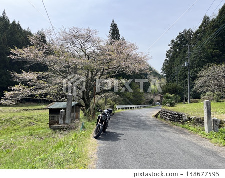 小川町,櫻 小川町,櫻 138677595