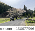 Ogawa Town, Sakura 138677596
