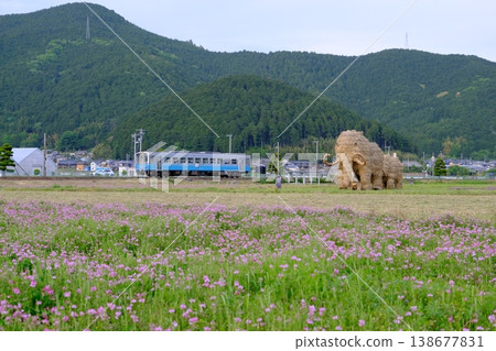 A straw mammoth standing among lotus flowers, with a train running alongside it. A straw mammoth standing among lotus flowers, with a train running alongside it. 138677831