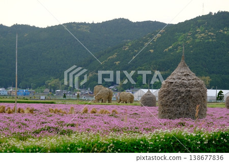 草編猛獁象、草編樹林和蓮花 草編猛獁象、草編樹林和蓮花 138677836