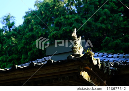 神社屋頂上的魎魎(神話中的魚形生物)在陽光的照射下熠熠生輝。 神社屋頂上的魎魎(神話中的魚形生物)在陽光的照射下熠熠生輝。 138677842