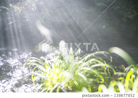 陽光透過清澈的溪流,灑落在綠樹成蔭的森林中:大山北谷澤溪 陽光透過清澈的溪流,灑落在綠樹成蔭的森林中:大山北谷澤溪 138677852