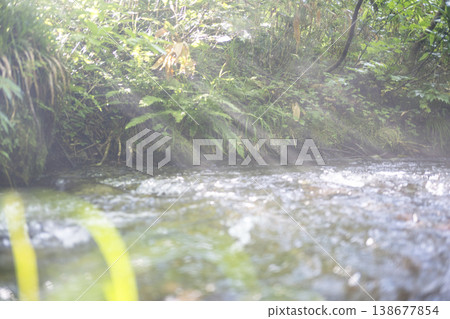 A scene of rays of sunlight filtering through a clear stream in a forest of fresh green leaves: Oyama Kitanizawa Stream A scene of rays of sunlight filtering through a clear stream in a forest of fresh green leaves: Oyama Kitanizawa Stream 138677854