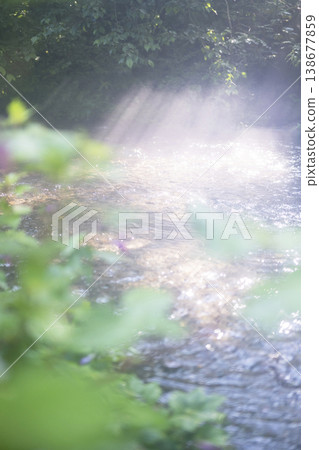 陽光透過清澈的溪流,灑落在綠樹成蔭的森林中:大山北谷澤溪 陽光透過清澈的溪流,灑落在綠樹成蔭的森林中:大山北谷澤溪 138677859