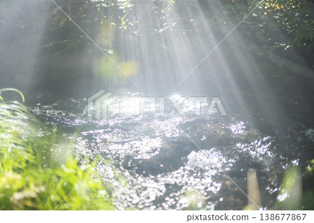 A scene of rays of sunlight filtering through a clear stream in a forest of fresh green leaves: Oyama Kitanizawa Stream A scene of rays of sunlight filtering through a clear stream in a forest of fresh green leaves: Oyama Kitanizawa Stream 138677867