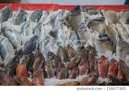Fresh fish lined up on ice (Egyptian fish market) Fresh fish lined up on ice (Egyptian fish market) 138677885